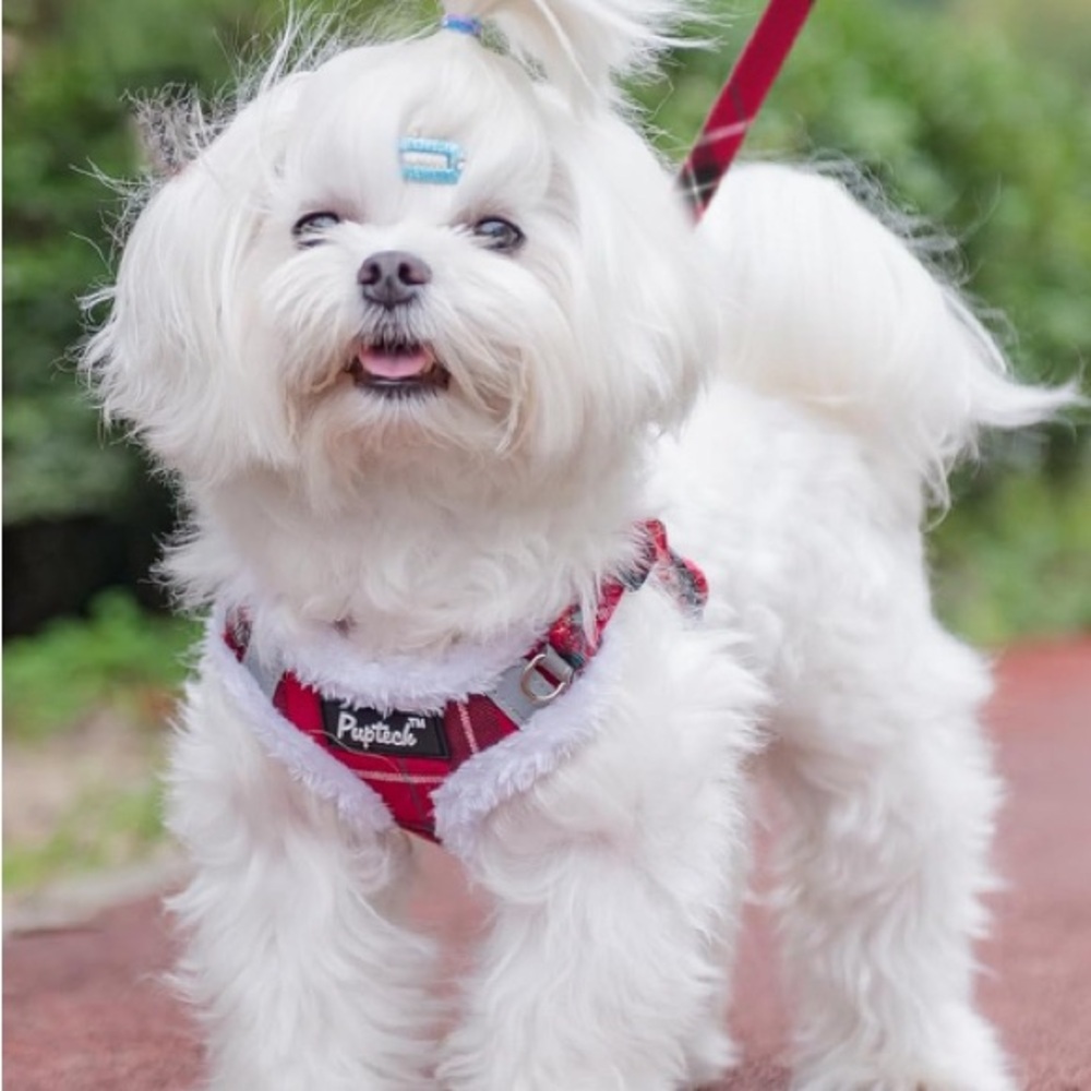 Puptech plaid fur harness